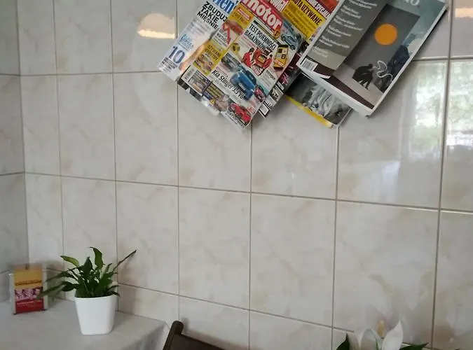 Willton Отель типа 